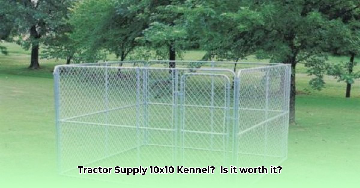 tractor-supply-10x10-dog-kennel